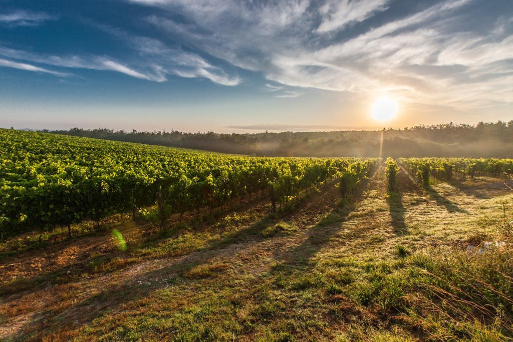 Villa Porticciolo Montepulciano Stazione Екстериор снимка